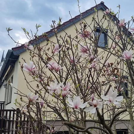 Luxurioes Modernisiertes In See- Und Stadtnaehe Лейпциг